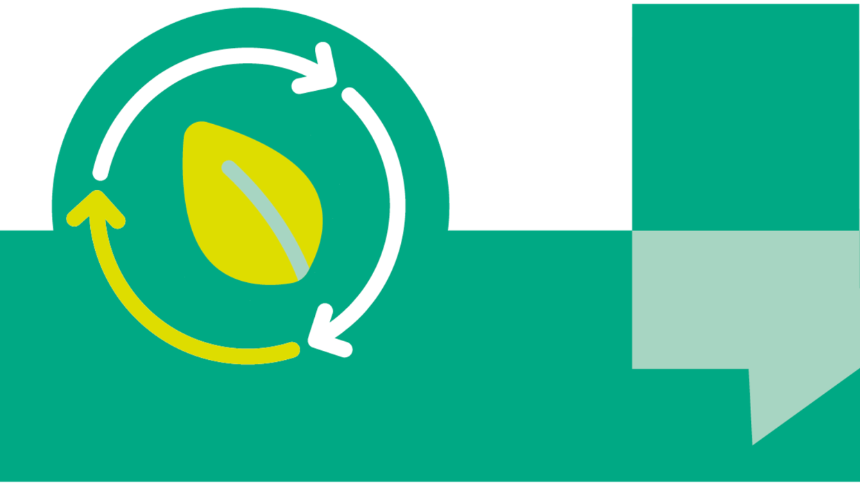 Ökologische Verantwortung